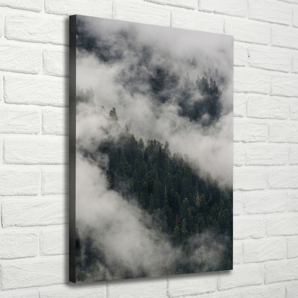 Wall art canvas Cloud over the forest