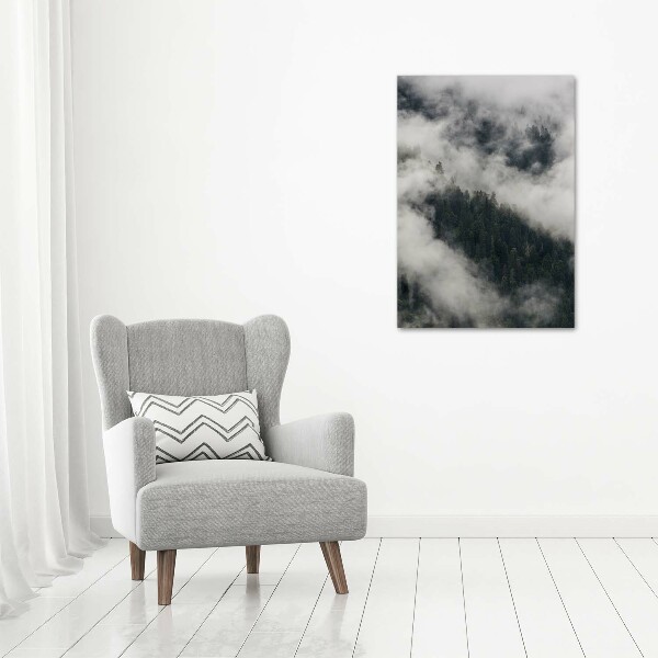 Wall art canvas Cloud over the forest