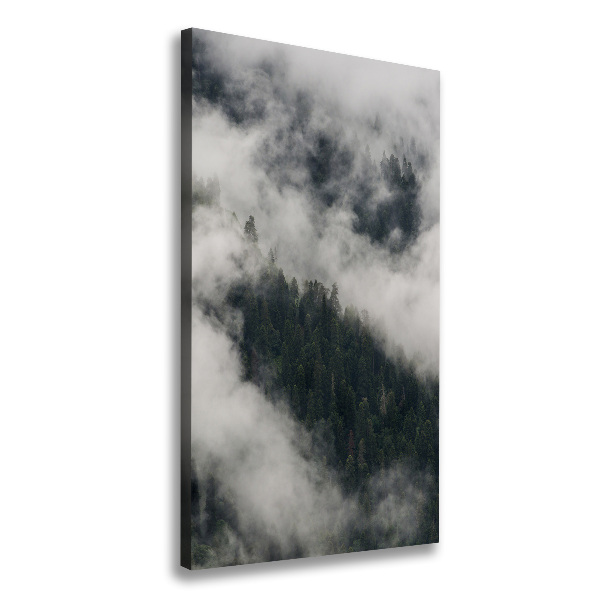 Wall art canvas Cloud over the forest