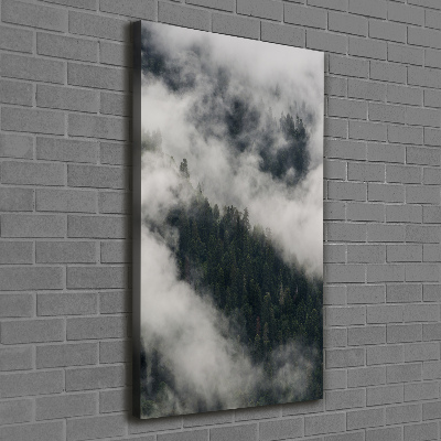 Wall art canvas Cloud over the forest