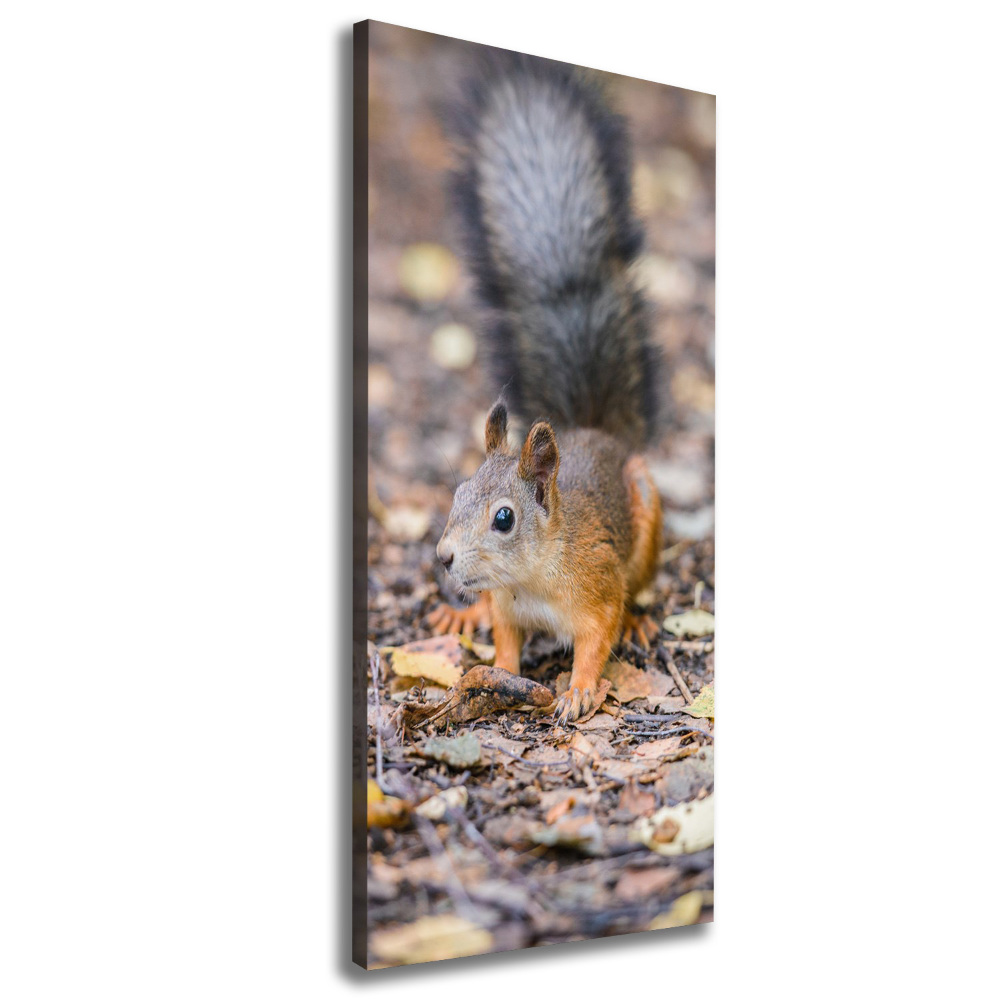 Wall art canvas large Squirrel in the forest