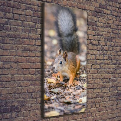 Wall art canvas large Squirrel in the forest