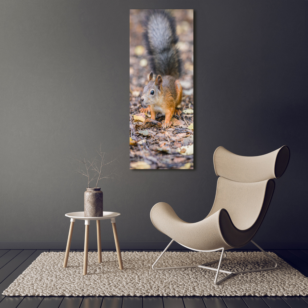 Wall art canvas large Squirrel in the forest