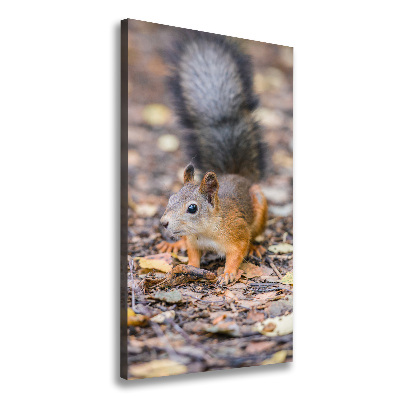 Wall art canvas large Squirrel in the forest