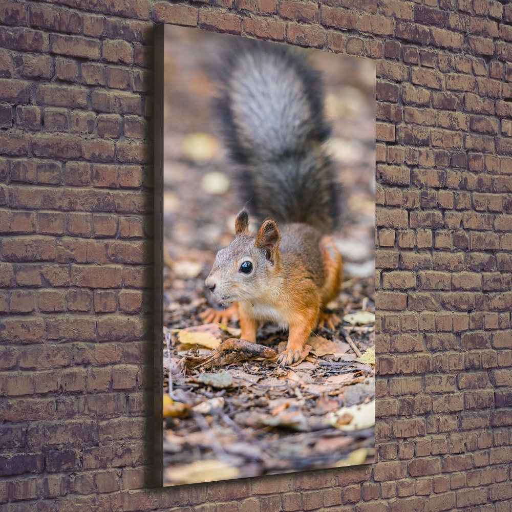 Wall art canvas large Squirrel in the forest