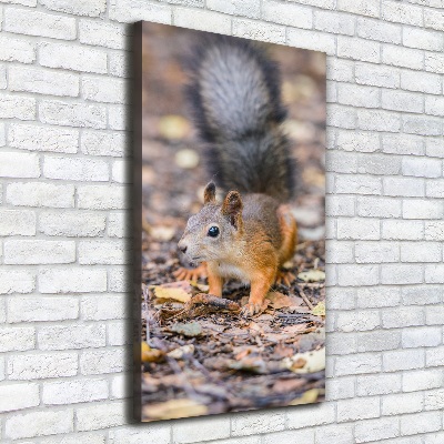 Wall art canvas large Squirrel in the forest