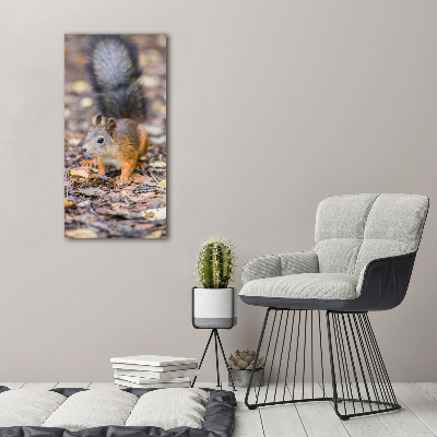 Wall art canvas large Squirrel in the forest