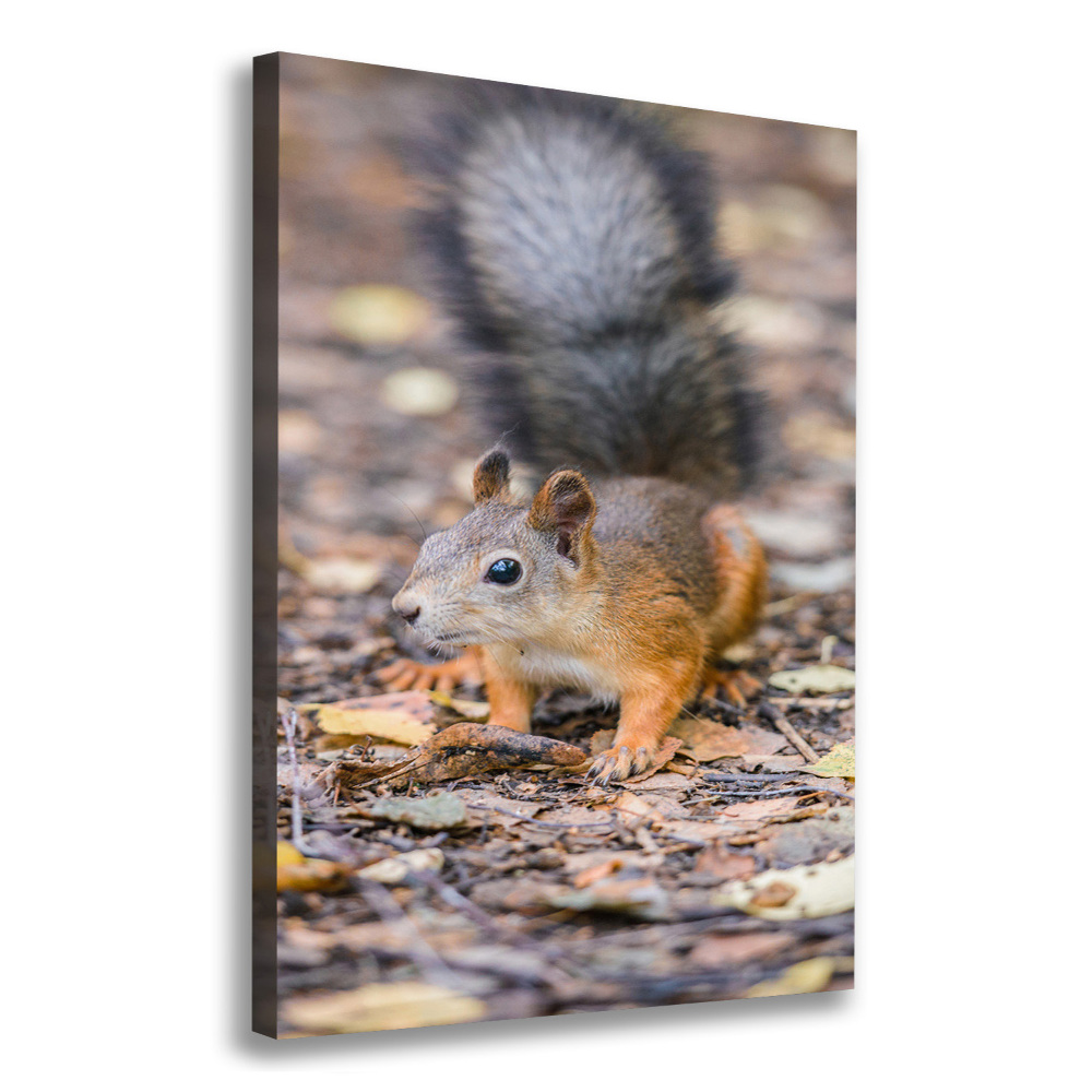 Wall art canvas large Squirrel in the forest