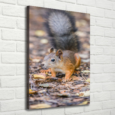 Wall art canvas large Squirrel in the forest