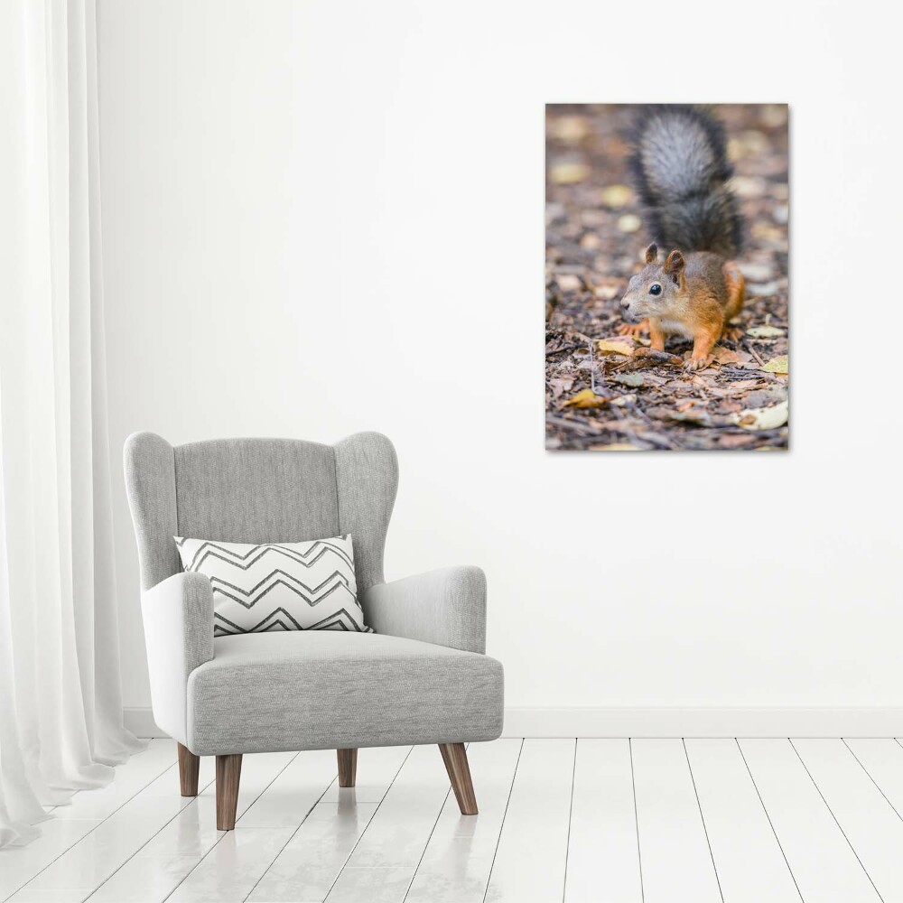 Wall art canvas large Squirrel in the forest