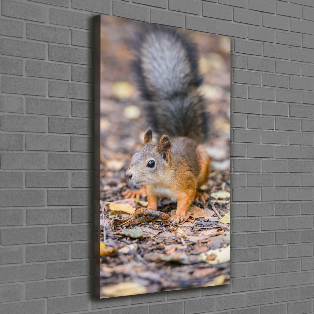 Wall art canvas large Squirrel in the forest