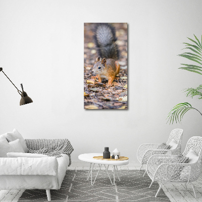 Wall art canvas large Squirrel in the forest