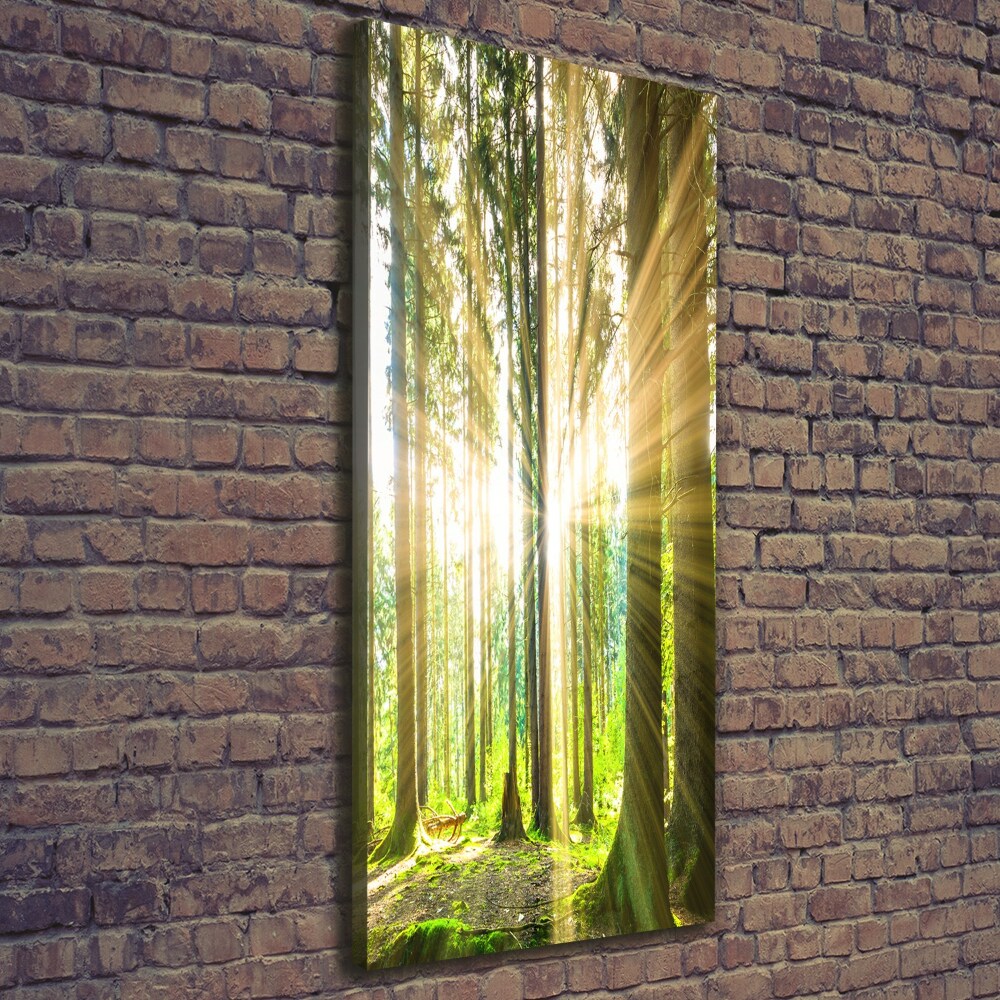 Wall art canvas The sun in the forest