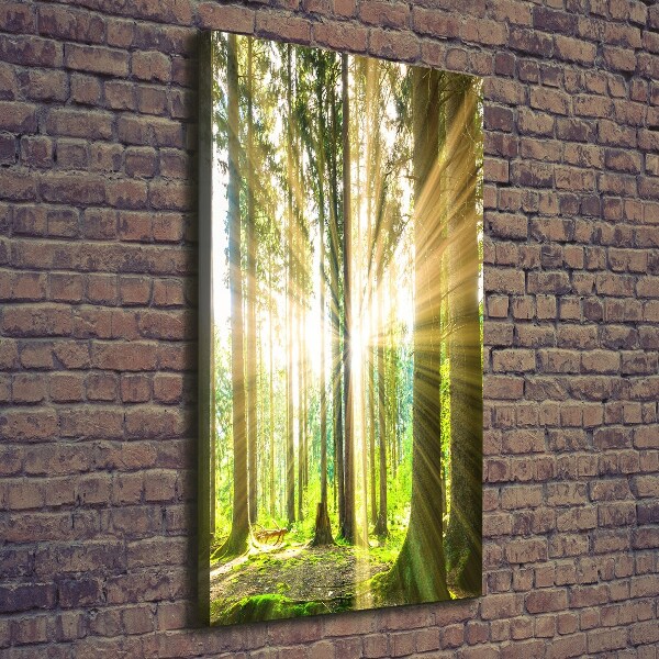 Wall art canvas The sun in the forest