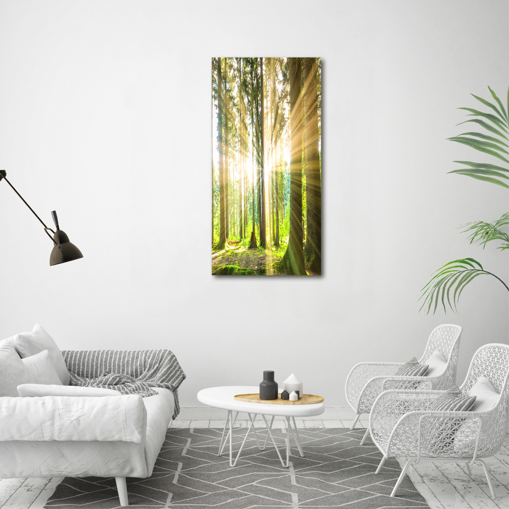 Wall art canvas The sun in the forest