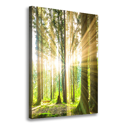 Wall art canvas The sun in the forest