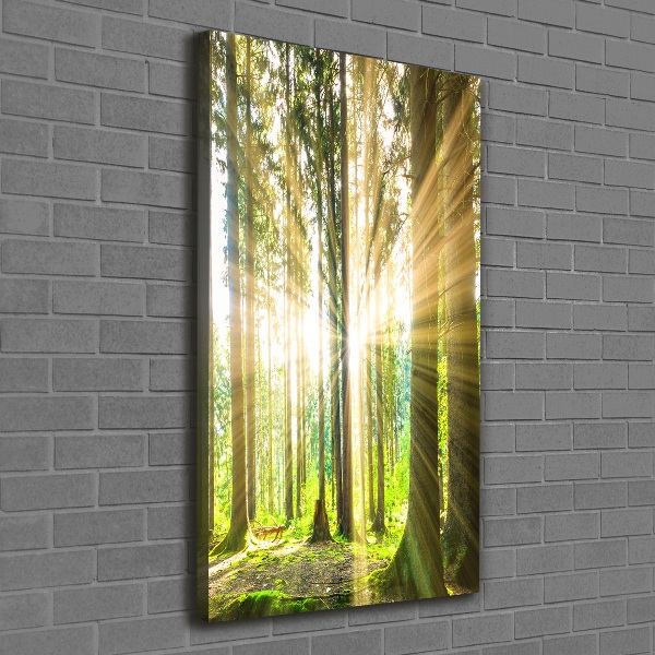 Wall art canvas The sun in the forest