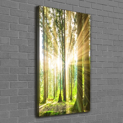 Wall art canvas The sun in the forest