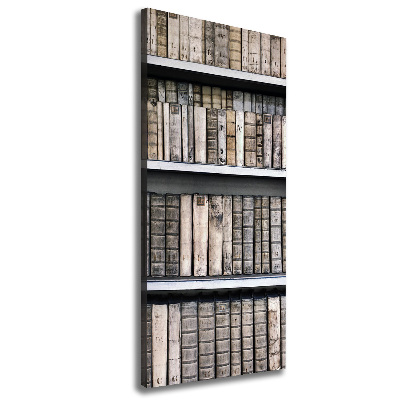 Canvas wall art Bookshelf