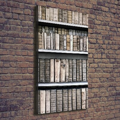 Canvas wall art Bookshelf