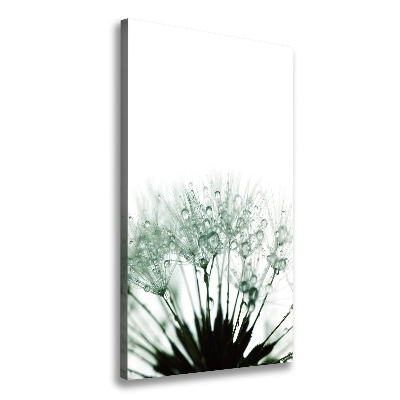 Large canvas wall art Dandelion seeds