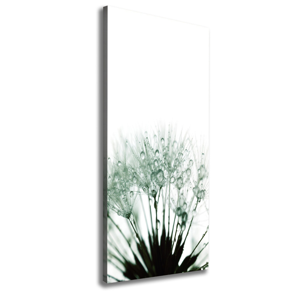 Large canvas wall art Dandelion seeds