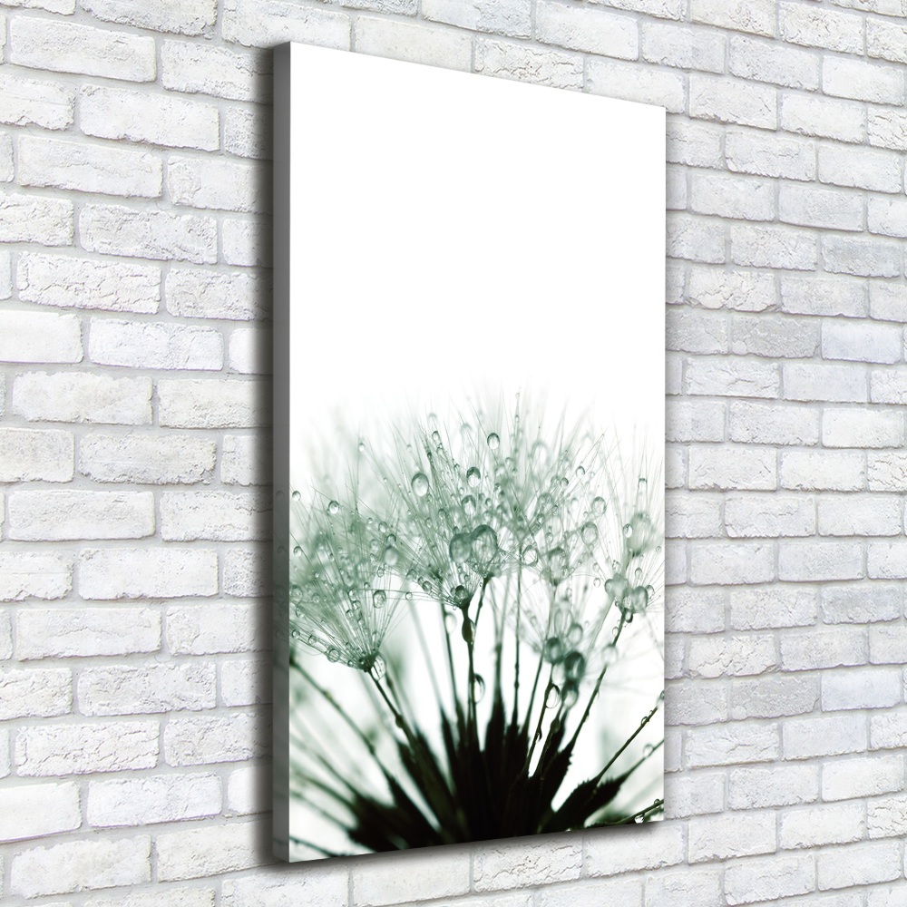 Large canvas wall art Dandelion seeds