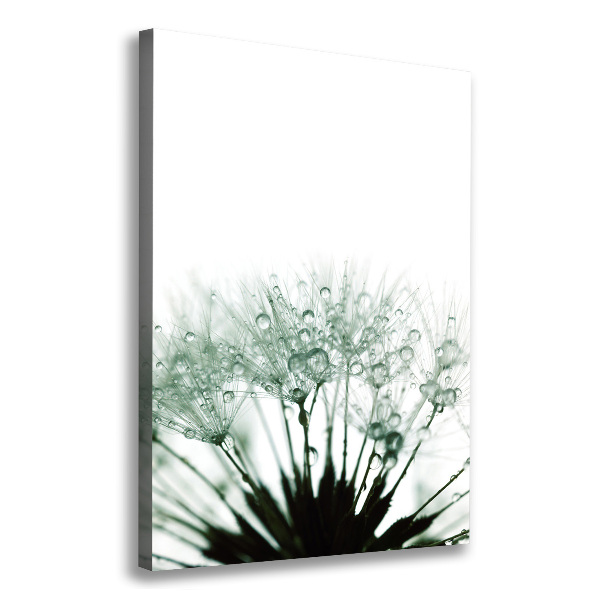 Large canvas wall art Dandelion seeds