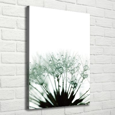 Large canvas wall art Dandelion seeds