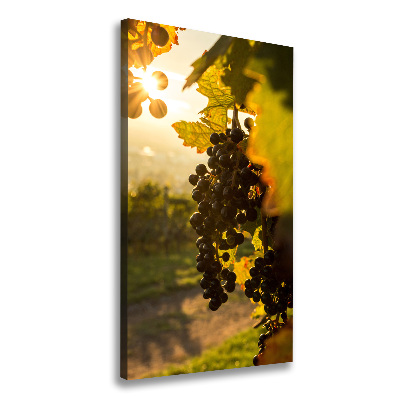 Wall art canvas Vineyard