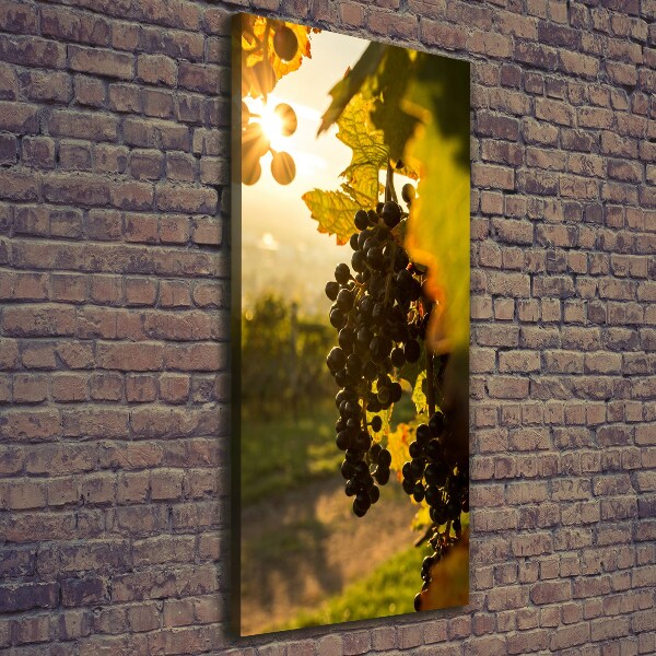 Wall art canvas Vineyard