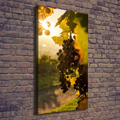 Wall art canvas Vineyard