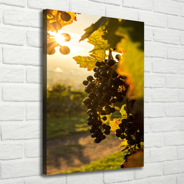 Wall art canvas Vineyard