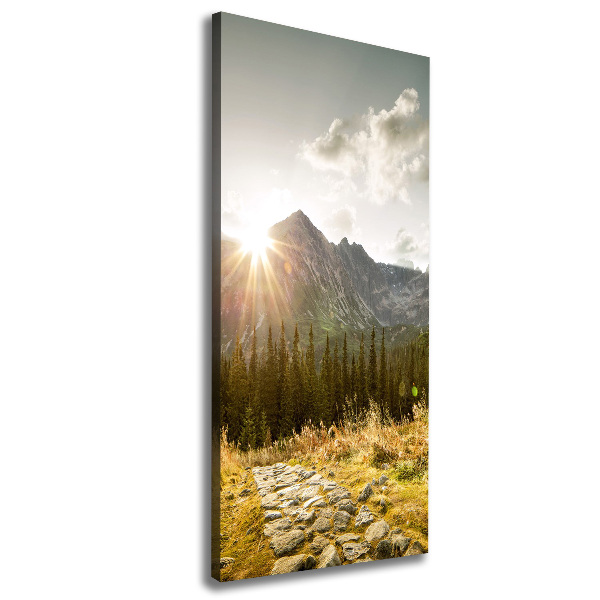 Wall art canvas Sunset of the Tatra Mountains