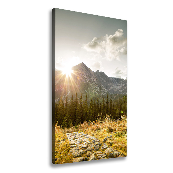 Wall art canvas Sunset of the Tatra Mountains