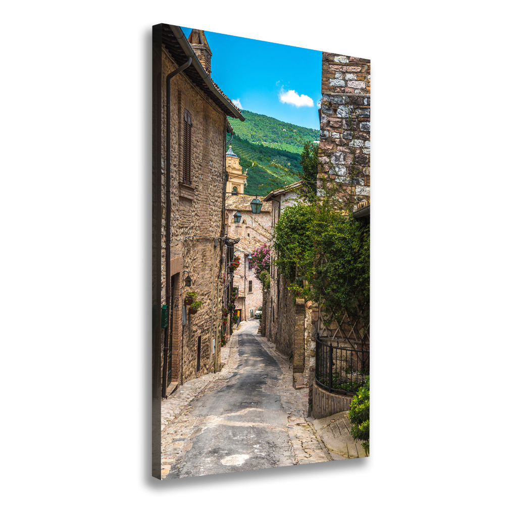 Canvas wall art Charming street