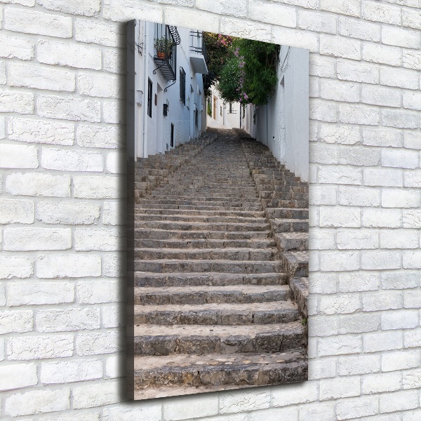 Canvas wall art Stone stairs