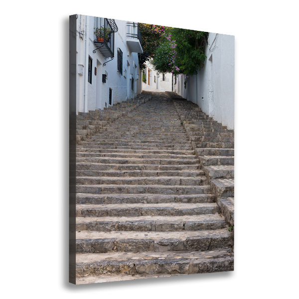 Canvas wall art Stone stairs