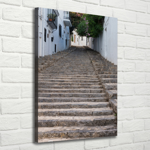 Canvas wall art Stone stairs