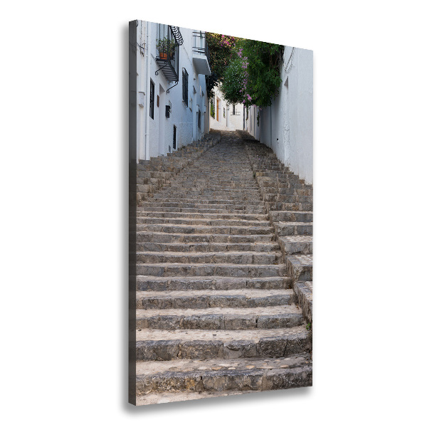 Canvas wall art Stone stairs