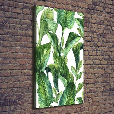 Wall art canvas Tropical leaves