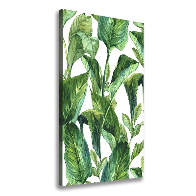 Wall art canvas Tropical leaves