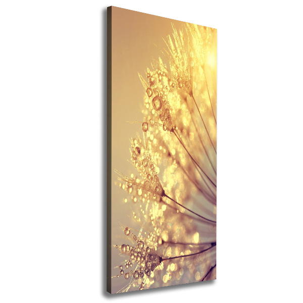 Canvas print Dandelion seeds