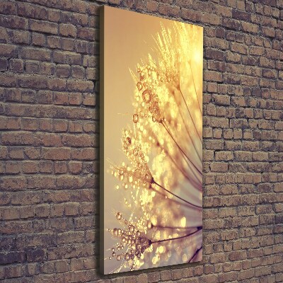 Canvas print Dandelion seeds