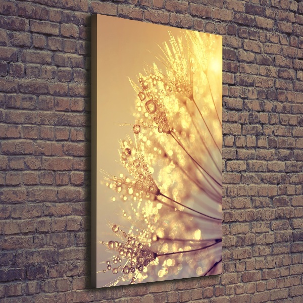 Canvas print Dandelion seeds