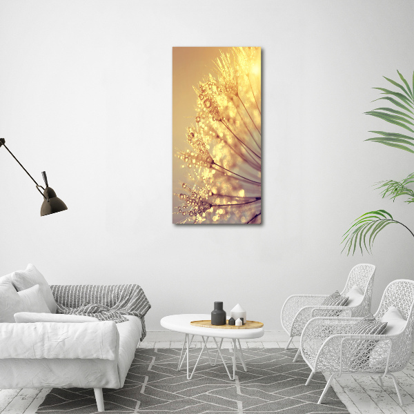 Canvas print Dandelion seeds