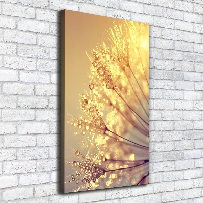 Canvas print Dandelion seeds