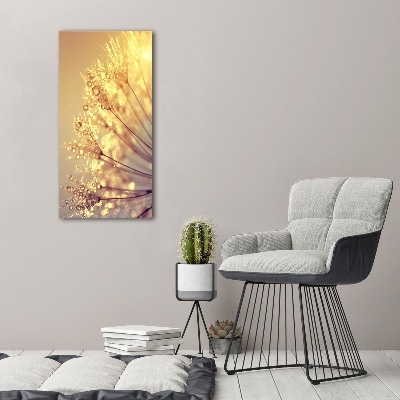 Canvas print Dandelion seeds