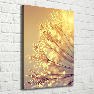 Canvas print Dandelion seeds