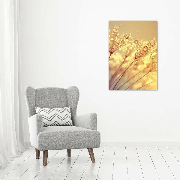 Canvas print Dandelion seeds